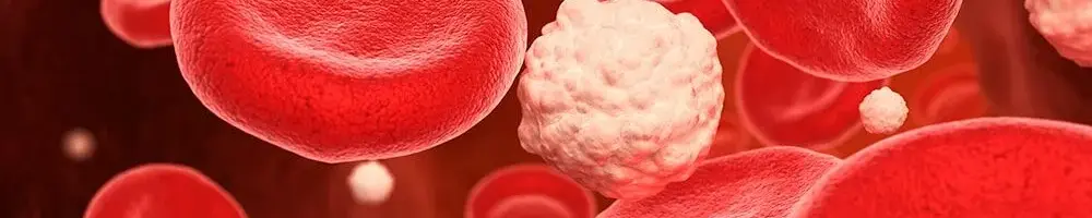 Cloroxmanufacturingcompany